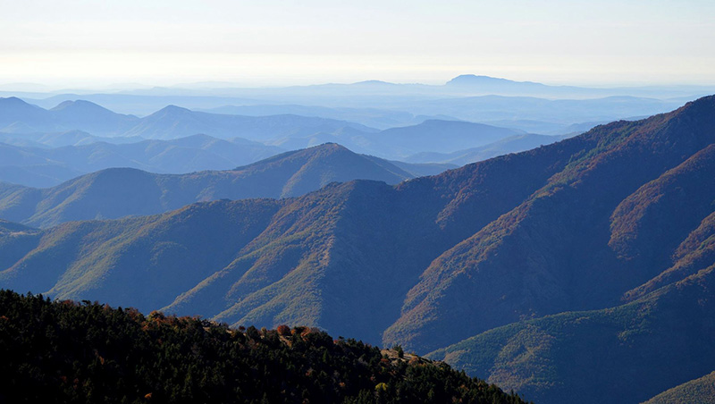 Un Grand Bol De Fraicheur
