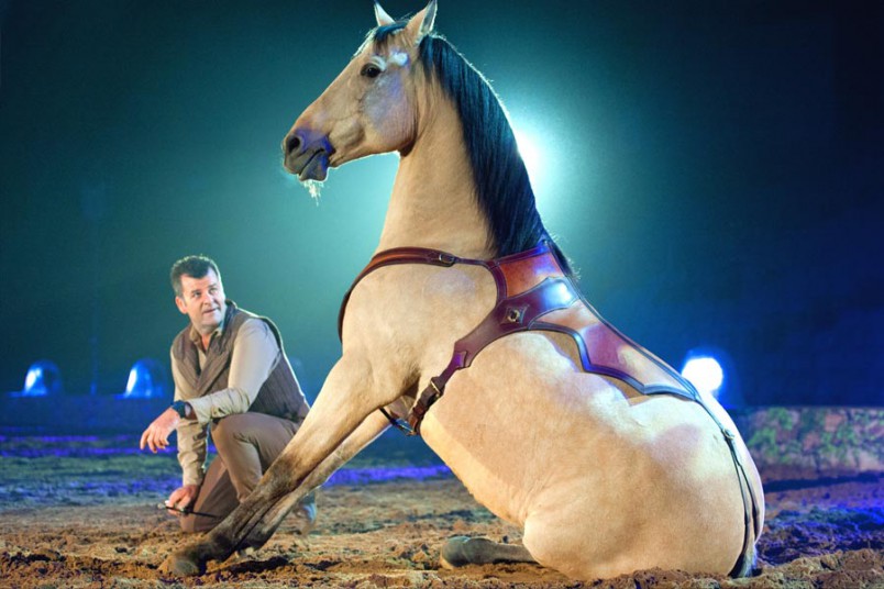 spectacle équestre nîmes