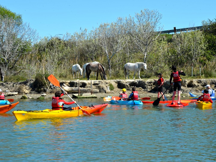 Espace eco pagayeur en Camargue