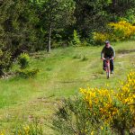 Découvrez en famille les paysages des Causses et Cévennes en VTT.