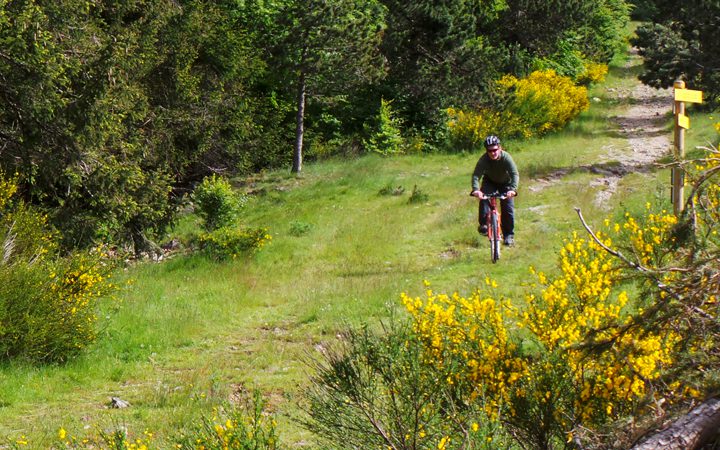 Découvrez en famille les paysages des Causses et Cévennes en VTT.