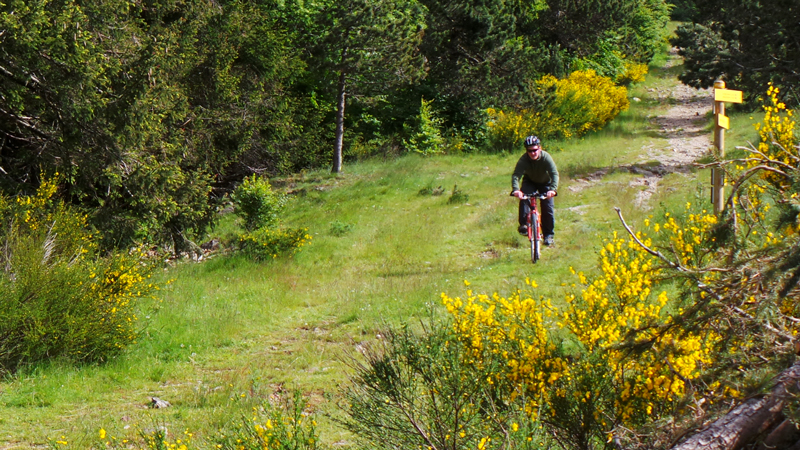 Découvrez en famille les paysages des Causses et Cévennes en VTT.