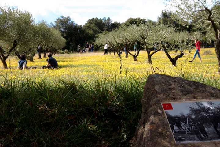 Garrigue-en-Fête-2017