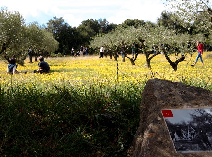 Garrigue-en-Fête-2017