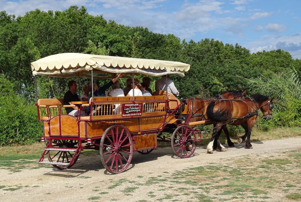 Balade en calèche pour le bonheur des petits et des grands